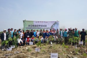 PEPC Bersama IDFoS dan Perhutani Libatkan Para Pihak Lakukan Konservasi Kawasan Hutan