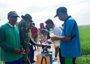 Dukung Ketahanan Pangan, Babinsa Koramil Kepohbaru Bojonegoro bantu Petani Desa Cengkir berantas OPT