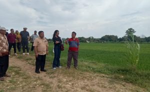 Komisi B DPRD Bojonegoro Kunjungi Lokasi Pengolahan Lahan Pertanian yang Menjadi Polemik