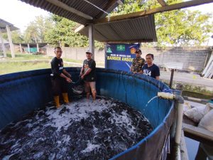 GP Ansor Jatim Dukung Program Ketahanan Pangan dengan Budidaya Lele dan Patin 