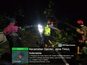 Personel Polsek Ngasem dan Petugas BPBD Bojonegoro Evakuasi Pohon Tumbang