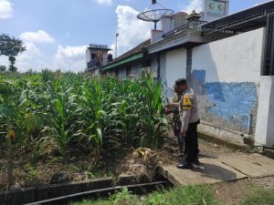 Dukung Ketahanan Pangan, Bhabinkamtibmas Polsek Bubulan Cek Lokasi Pemanfaatan Pekarangan Bergizi