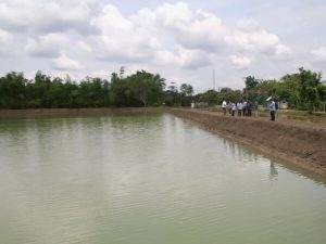 Wujudkan Ketahanan Air, Pemkab Bojonegoro Gandeng Mitra guna Optimalkan Embung dan Waduk 