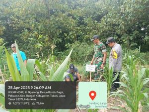 Reboisasi di Sumber Air Ngerong: Kolaborasi Karang Taruna dan Forkopimcam Rengel untuk Kelestarian Lingkungan