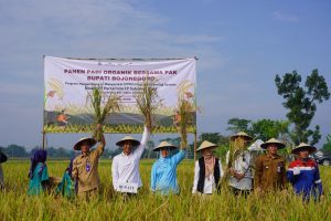 Bupati dan Wabup Bojonegoro Hadiri Panen Raya Padi Organik