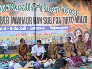 Bupati dan Wakil Bupati Bojonegoro Hadiri Wiwit dan Panen Raya, Lestarikan Tradisi Kearifan Lokal