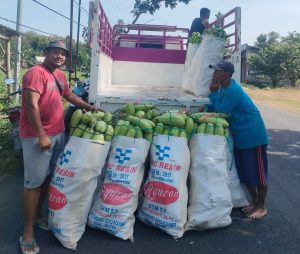 Faruq dan Rohman Petani Millenial Eks Tambang Freeport & ExxonMobil yang Mencuri Perhatian Berkat Terong Raksasa
