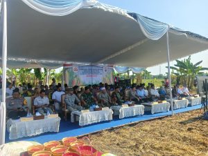 Serentak se Jawa Timur, Polres Bojonegoro Bersama Forkopimda Ikuti Penanaman Jagung di Lahan Pesantren