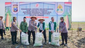 Peringati Hari Jadi ke-77, Polwan Polres Bojonegoro Tanam Jagung Dukung Ketahanan Pangan