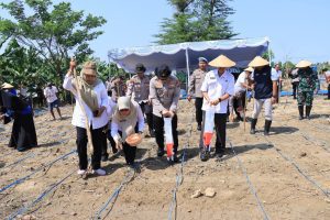 Dukung Program Asta Cita Presiden Prabowo, Polres Bojonegoro Tanam Jagung