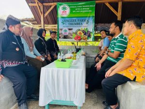 Wisata Petik Anggur Unggul Farm Trembes Mitra HKTI Bojonegoro Resmi Dibuka, Wabup Nurul Azizah Hadiri Peresmian