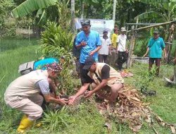 Tim Ekspedisi Bumi Tanam Pohon Beringin di Empat Sendang Dusun Jepang Margomulyo