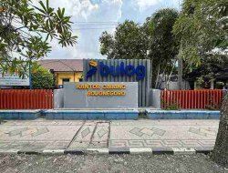 Jelang Panen Raya Padi Bojonegoro, Bulog Nyatakan Siap Serap 81 Ribu Ton