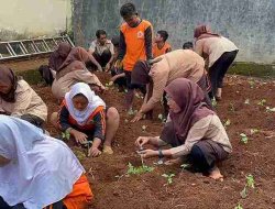 Serentak di 23 Sekolah, Program SIKAP Dindik Jatim Libatkan Murid dan GTK Dukung Ketahanan Pangan