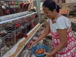 Gayatri, Program PPM Pertamina EP Sukowati Zona 11 Tunjukkan Dampak Positif bagi Masyarakat Desa