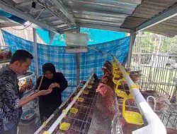 Program GAYATRI Bantu Keluarga Rentan Warga Desa Mori dan Mampu Tingkatkan Penghasilan