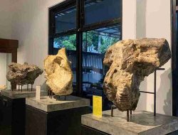 Gratis Masuk, Museum Rajekwesi Bojonegoro Tawarkan 5 Ruang Edukatif Sarat Sejarah