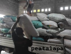 Produksi Cocopeat “Peatalapa” di Kediri, Dorong Media Tanam Ramah Lingkungan