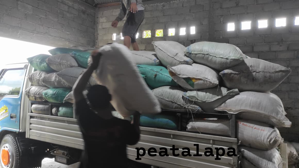 Proses distribusi cocopeat Peatalapa di Kediri