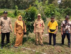 DKPP Bojonegoro Bagikan Ribuan Bibit Alpukat Berhasil Tumbuh Subur, Petani Berpeluang Raup Jutaan