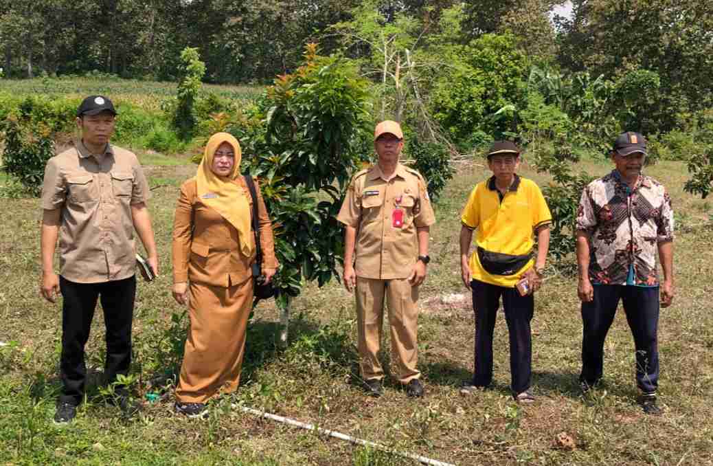 DKPP Bojonegoro bersama kelompok tani meninjau langsung pertumbuhan bibit alpukat bantuan yang kini mulai berkembang baik di sejumlah kecamatan