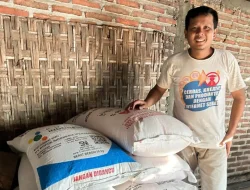 Ketersediaan Terjaga, Kebutuhan Pupuk Subsidi Petani Bojonegoro Terpenuhi