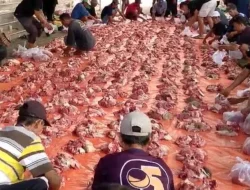 Masjid As-Syuhada Tandingoro Sembelih 8 Sapi dan 65 Kambing