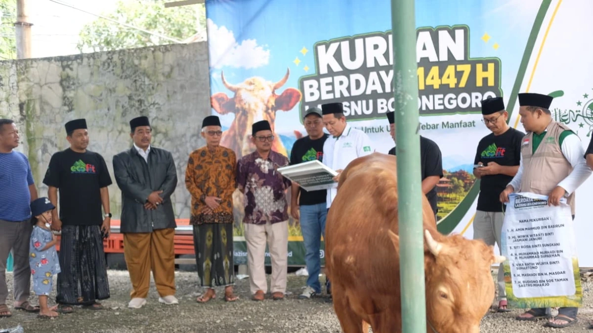 Prosesi Kurban Berdaya 1447 H PCNU Bojonegoro dengan satu ekor sapi kurban di halaman Kantor PCNU Bojonegoro.