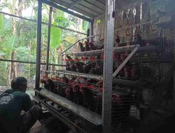 Gayatri Bojonegoro Berlanjut, Pemkab Fokus Verifikasi dan Pendampingan KPM