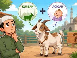 Satu Kambing untuk Kurban dan Aqiqah, Apakah Sah?