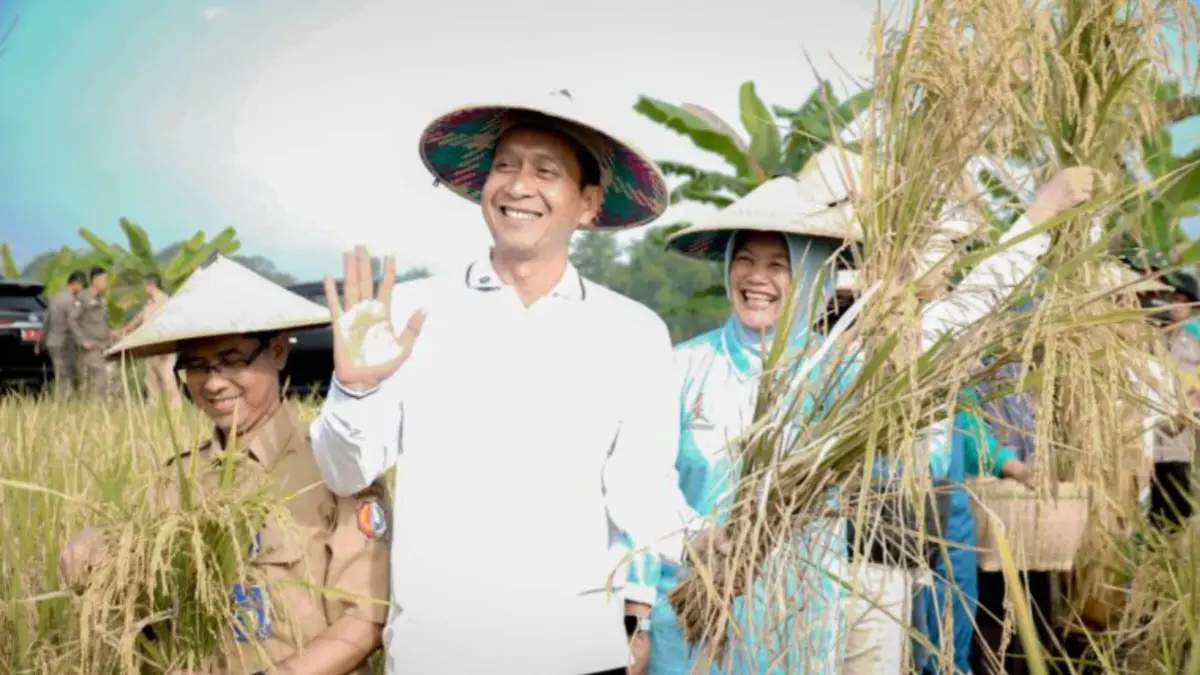 Bupati Bojonegoro Setyo Wahono menghadiri kegiatan panen padi sebagai simbol penguatan kemandirian pangan daerah.