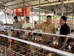 Menguatkan & Menggerakkan Ekonomi, Komut dan Manajemen PEPC Turun Temui Warga