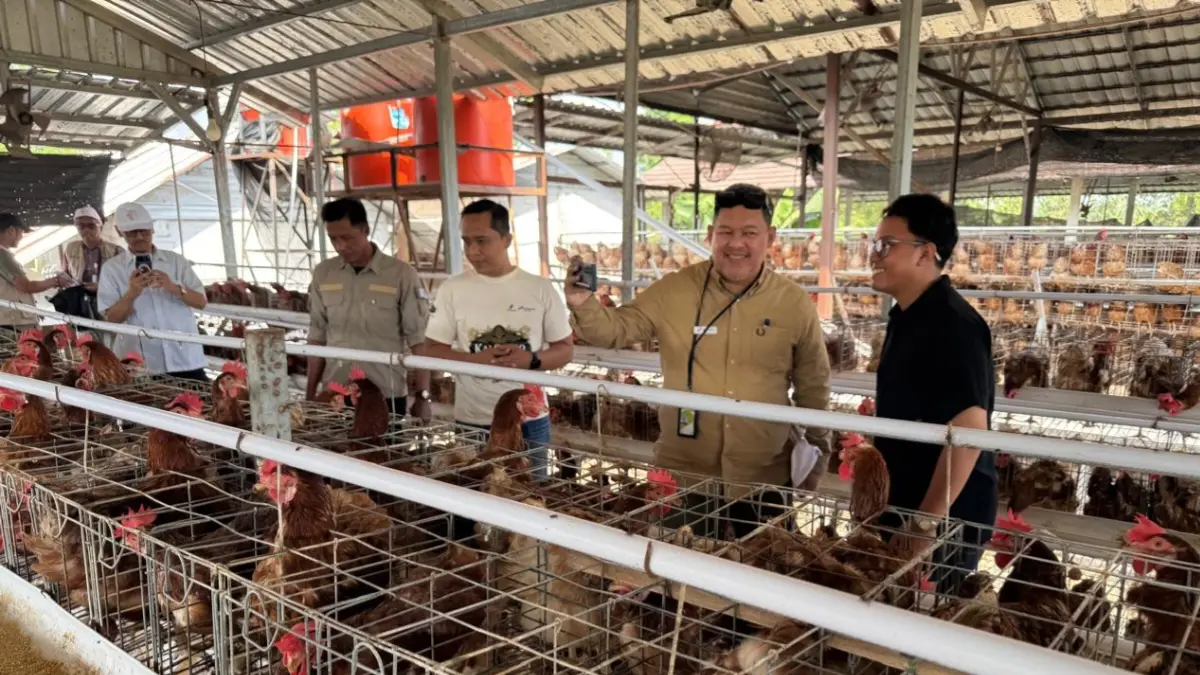 Komisaris Utama dan Manajemen PEPC meninjau program budidaya ayam petelur binaan di Bojonegoro.