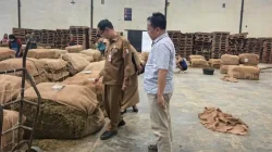 Monitoring harga tembakau Bojonegoro oleh DKPP