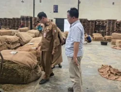 Monitoring Di Gudang, DKPP Bojonegoro: Harga Tembakau Masih Relatif Bagus