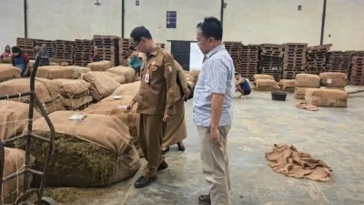 Monitoring harga tembakau Bojonegoro oleh DKPP