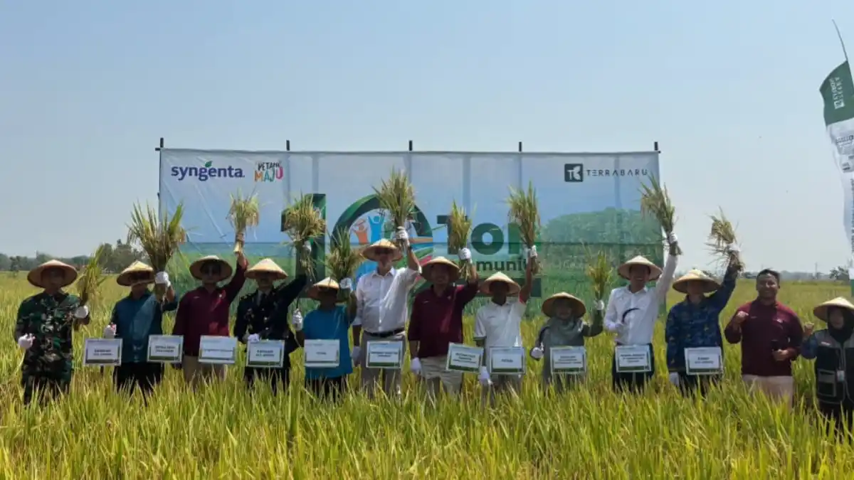 Festival Panen Pertanian Regeneratif di Ngawi