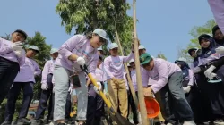 Kegiatan penanaman pohon dalam program Arboretum Hutan Sekolah PEPC Zona 12.