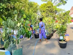 Karangan Bunga HJB ke-349 Diganti Bibit Pohon, Dukung Penghijauan Bojonegoro
