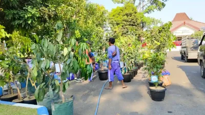 Bibit pohon produktif pengganti karangan bunga ucapan HJB ke-349 di Pendopo Malowopati Bojonegoro